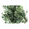 thumbnail image 3 of Monarch - Plante Artificielle pour Maison, Bureau - 2 Pcs - Eucalyptus/herbe - Vert, 3 of 5