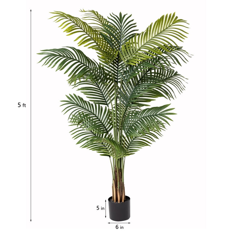 indoor lighted plants Grow Cube