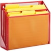 Honey Can Do Mesh Vertical File Sorter with 3 Bins, Multicolor