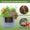 thumbnail image 5 of Breathable Non Woven Growth Bags - Durable Aeration Fabric Pots with Handles for Healthy Root Growth, Easy to Move, Reusable Garden Planting Containers, 5 of 6