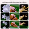 thumbnail image 4 of HLONK Children‘S Handheld Electronic Magnifying Glass Digital Microscope Experiment, 4 of 10