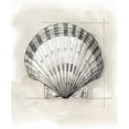 thumbnail image 2 of Meagher, Megan 26x30 White Modern Wood Framed Museum Art Print Titled - Shell Schematic III, 2 of 4