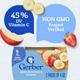 thumbnail image 4 of Gerber 2nd Foods Natural for Baby Baby Food, Apple Strawberry Banana, 4 oz Tubs (16 Pack), 4 of 10