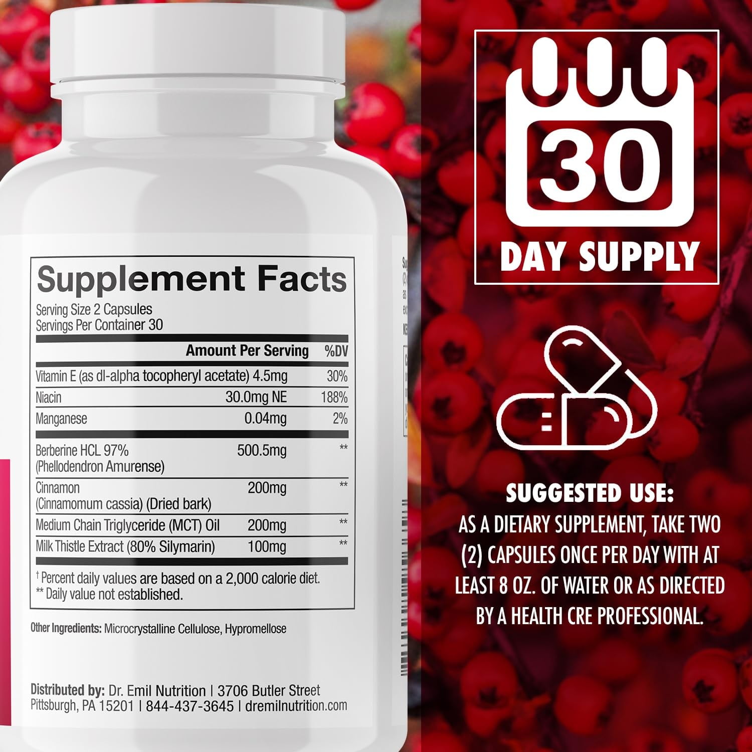 DR. EMIL NUTRITION Berberine 500mg Capsules, 60 Count, 30 Servings