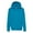 Teal, variant on Hanes Boys EcoSmart Fleece Pullover Hoodie Sweatshirt, Sizes 4-18
