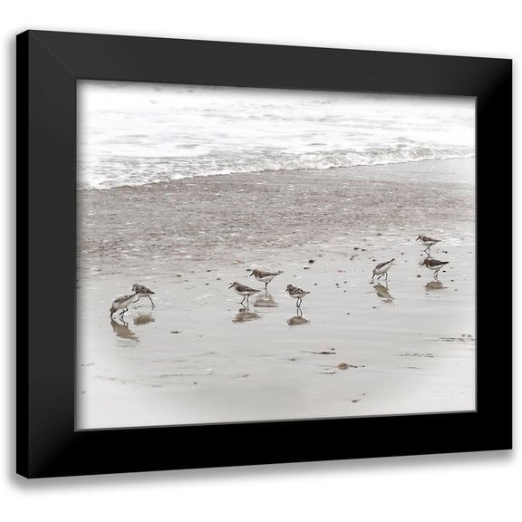 Ryan, Brooke T. 14x12 Black Modern Framed Museum Art Print Titled - Sandpipers