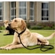 thumbnail image 4 of Correa De Entrenamiento Para Perro Con Bucle Deslizante, 4 of 6