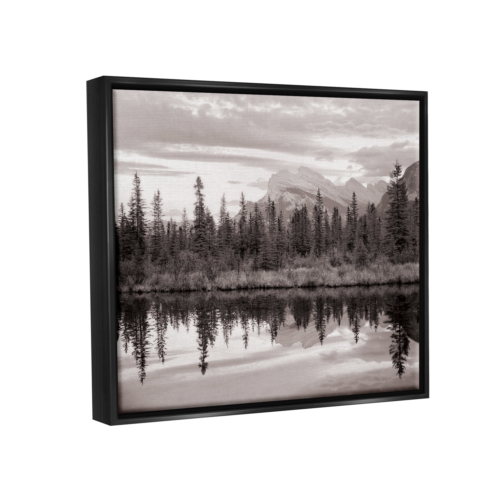 Stupell Industries Lakeside Woodland Landscape Nature Photography Black Floater Framed Art Print Wall Art, 31 x 25