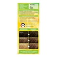 thumbnail image 3 of Garnier Nutrisse Ultra Crème, Permanent Hair Dye, Long-Lasting,1 unit, 3 of 6