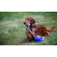 thumbnail image 3 of shiyou-4.5-Inch Romp-n-Roll, Blue, 3 of 4