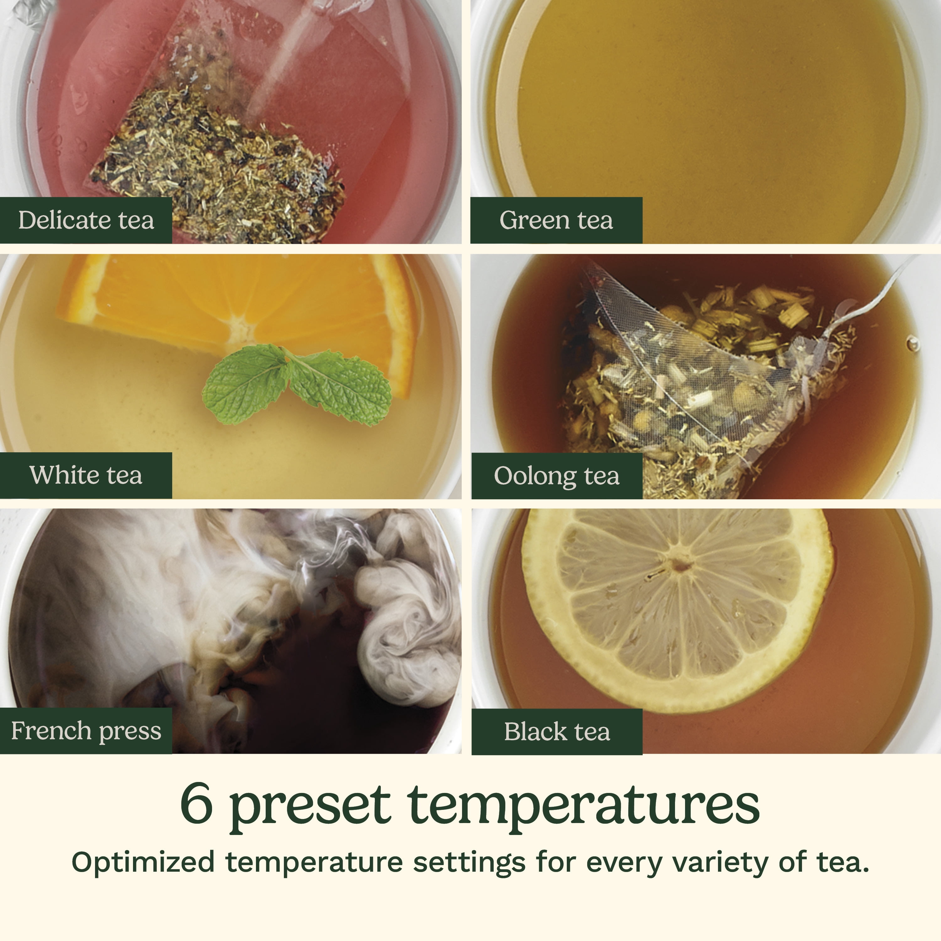 Cuisinart PerfecTemp Cordless Electric Kettle with Preset Temperature Controls