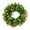 Green, variant on Piwvid Spring Summer Wreaths for Front Door Farmhouse Colorful Cottage Artificial Eucalyptus Wreath Sping Flower Door Wreath Summer Wreath for All Season Welcome Sign Farm Home Decor, 28cm