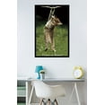 thumbnail image 2 of Famous Kitten Hang In There Poster Wall Poster, 22.375" x 34", Framed, 2 of 2