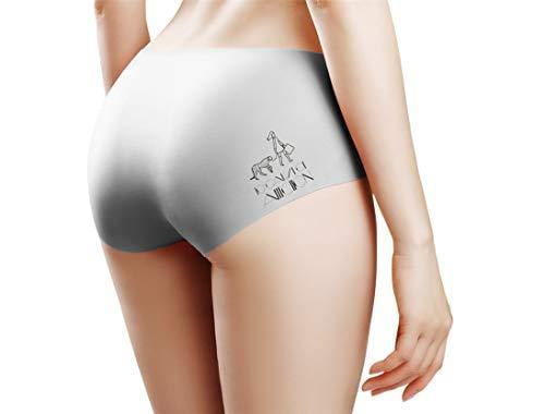 Win Change Women’s Underwear Brief Hipster Panties Soft Seamless Bikini Durable Fabric 5 Pack 