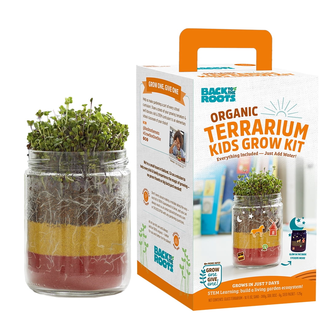 Back to the Roots Kids Grow & Glow terrarium Growing Kit with Glow-in-the-Dark Stickers (2 Count)