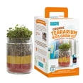 thumbnail image 2 of Back to the Roots Kids Grow & Glow terrarium Growing Kit with Glow-in-the-Dark Stickers (2 Count), 2 of 3