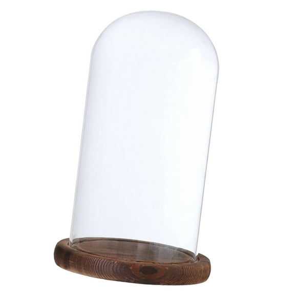 Decorative Glass Cloche Bell Jar Dome with Wooden Base Display Decor_ Brown D