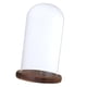 thumbnail image 3 of Cúpula transparente con base de madera.,Cúpula de cristal con base,Campana de cristal,Cúpula de exhibición de vidrio,Cubierta de vidrio,Botella de paisaje de jardín,Soporte de bricolaje, 3 of 9