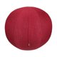 thumbnail image 1 of Cubierta de pelota de ejercicio shamjiam Bolsa de almacenamiento ligera para uso doméstico Rojo 55cm, 1 of 8