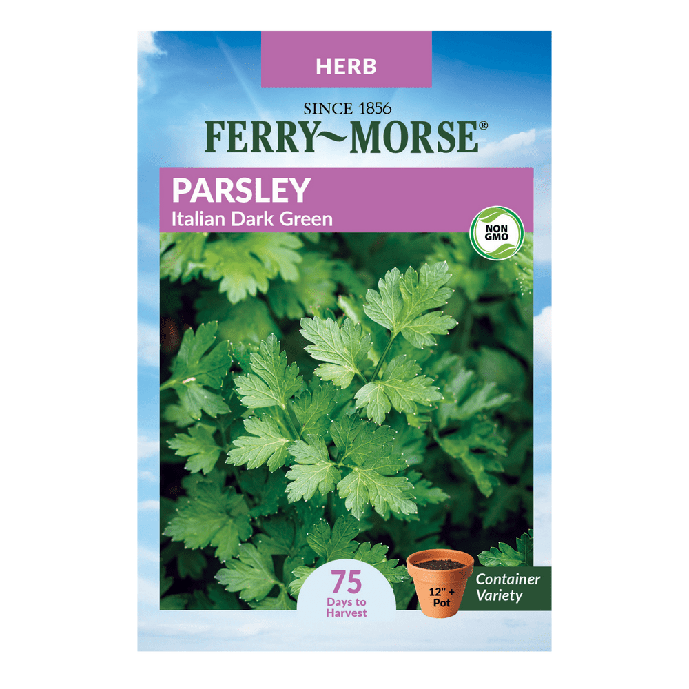 FerryMorse Italian Dark Green Parsley Seeds Since 1856, NonGMO