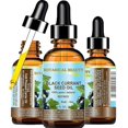 thumbnail image 1 of Aceite portador Botanical Beauty ACEITE DE SEMILLA DE GROSELLA NEGRA 30 ml, 1 of 7