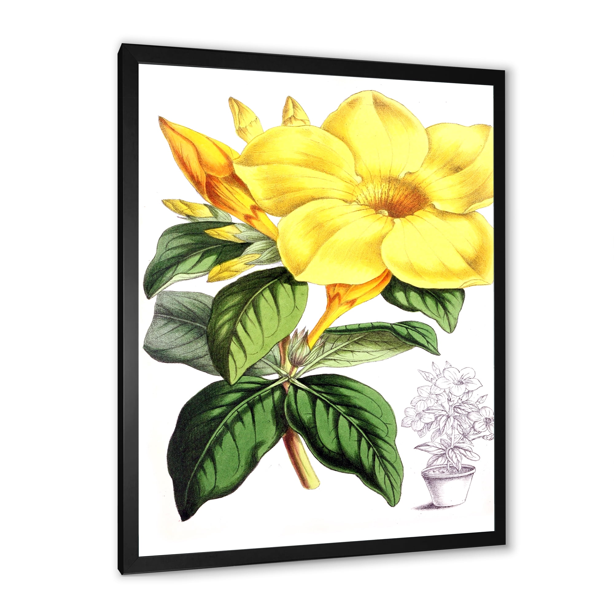 Designart 'Green Leaves With Tropical Yellow Flowers II' Traditional Framed Art Print