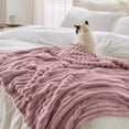 thumbnail image 4 of Throw Blanket for Couch, Lightweight Plush Warm Blankets for Bed, Fuzzy Cozy Flannel Blanket Throw for Sofa, Soft Warm Light Weight for Travelling In Spring Summer,27X39 Inches, 4 of 9