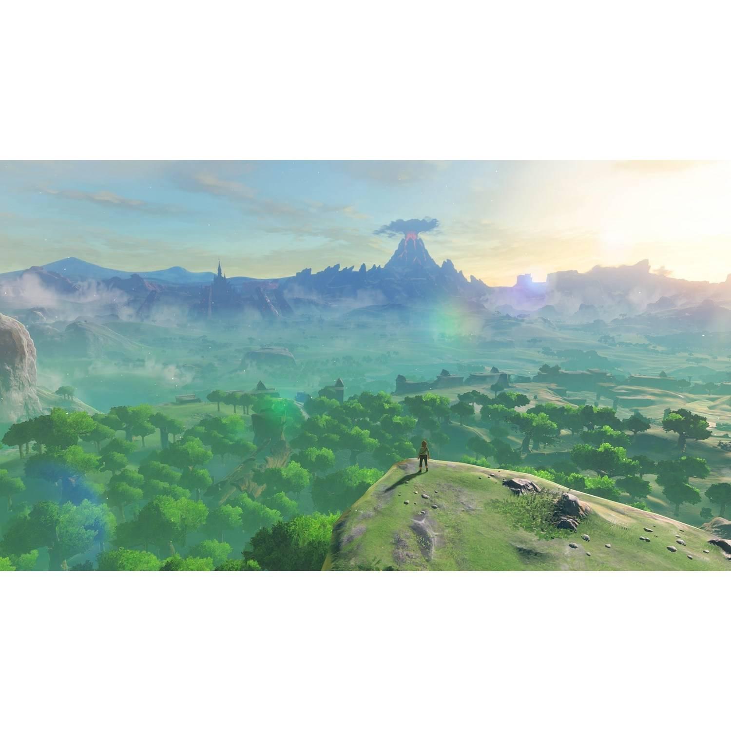 The Legend of Zelda: Breath of the Wild - Nintendo Switch - image 9 of 17