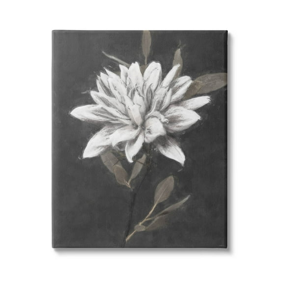 Stupell Industries Traditional White Dahlia Flower Graphic Art Gallery Wrapped Canvas Print Wall Art, Design by Nina Blue