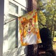 thumbnail image 2 of Carolines Treasures BB9981CHF Sheltie Fall Flag - Taille de la Maison en Toile, 2 of 4