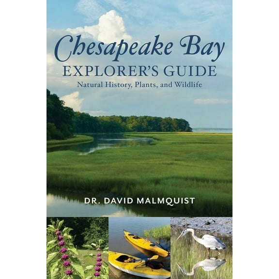 Chesapeake Bay Explorer's Guide : Natural History, Plants, and Wildlife (Paperback)