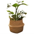 thumbnail image 1 of Amdohai Fait à la Main Woven Planter Forme Ronde Pique-Nique Conteneur Panier de Rangement Jardin, 1 of 7