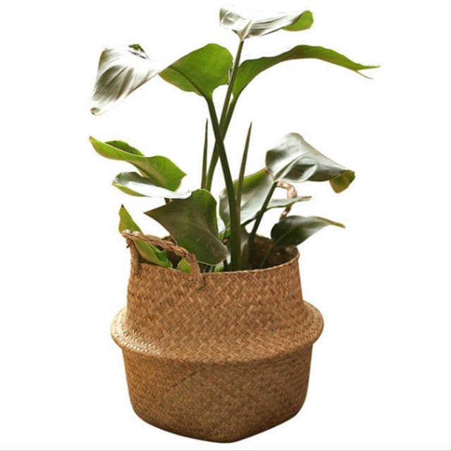 Amdohai Fait à la Main Woven Planter Forme Ronde Pique-Nique Conteneur Panier de Rangement Jardin