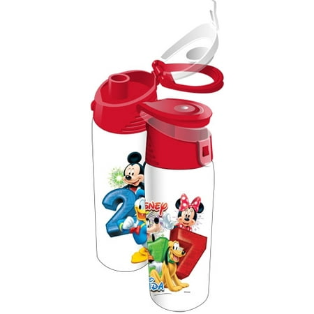 Florida Bottle - Disney 2017 Stacked Hybrid Flip Top Acrylic Bottle (Florida Namedrop)