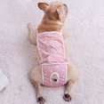 thumbnail image 4 of Daxin Washable Dog Diapers,Female Doggie Sanitary Pantie for Small Medium Dogs Accessories, 4 of 6