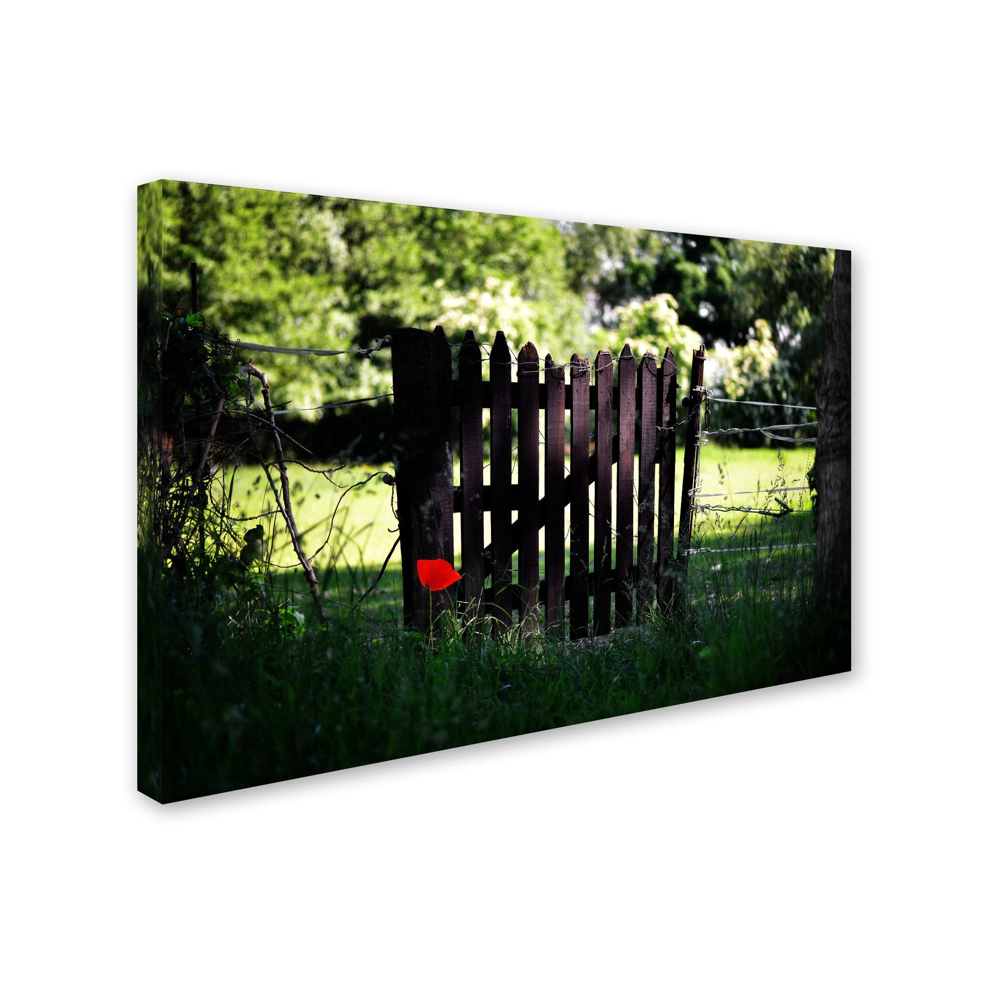Trademark Fine Art "Press the Red Button" Canvas Art by Philippe Sainte-Laudy