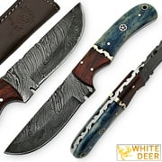 White Deer Blue Bunyan Damascus Steel Knife Bison Bone & Hardwood Handle