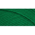 thumbnail image 2 of Red Heart Super Saver Yarn 24/Pk-Paddy Green, 2 of 2