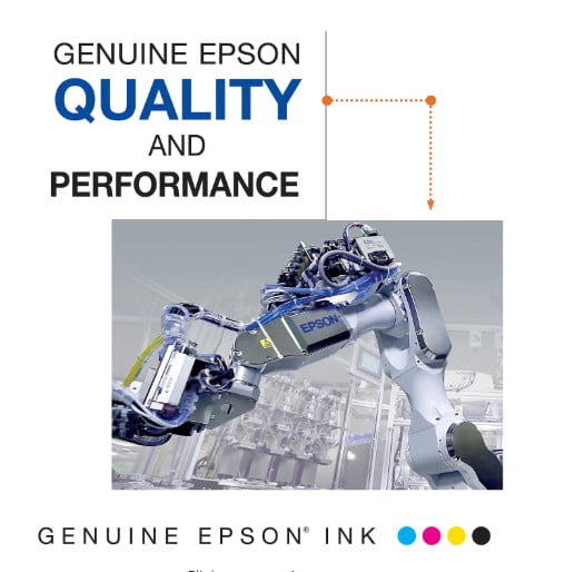 Epson 252 Standard-capacity Color Multi-Pack Ink Cartridges