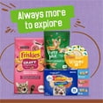 thumbnail image 2 of Friskies Extra Gravy Chunky Turkey, Wet Cat Food 156g, 2 of 9