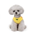 thumbnail image 2 of BT Bear Pet Clothes, Summer Dog Princess Dress Cool Fruit Tutu Skirt Wedding Party Costume for Puppy Small Dog (XS, Yellow), 2 of 4