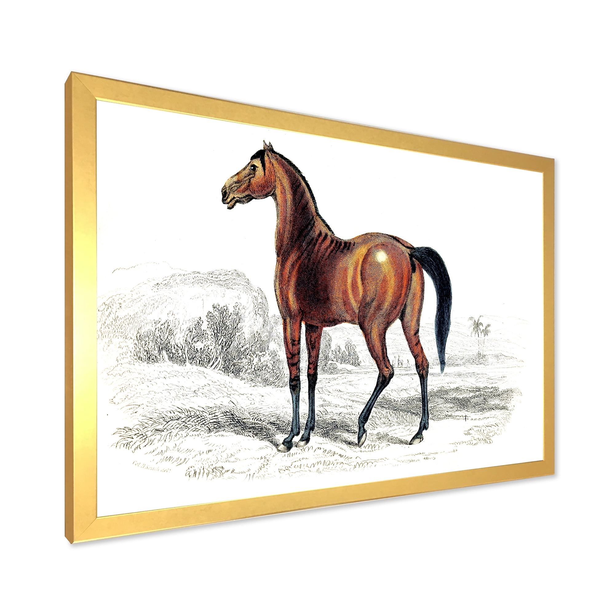 Designart 'Ancient Horse' Farmhouse Framed Art Print
