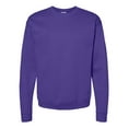 thumbnail image 1 of Hanes Ecosmart Chandail Molletonné à Col Rond Unisexe, 1 of 1