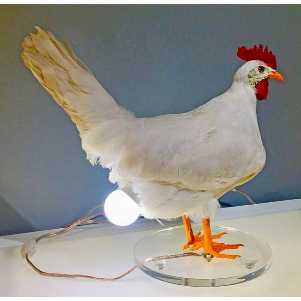 Lámpara LED de pollo, luz nocturna con forma de huevo, lámpara de escritorio con forma de huevo de taxidermia