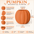 thumbnail image 6 of Orange Pumpkin Shaped Plastic Planter for Fall Tabletop Halloween and Thanksgiving Decor, 6 of 7