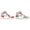 Bloom Sneaker Set, variant on Floral Sneaker Shape Die-Cut Acrylic Wall Art, 1 Panel, 19 x 10.5, Colored Tropical