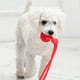 thumbnail image 3 of Cuerda Interactiva para Masticar para Perros Juguete Portátil para Masticar Molares con Fuerte Resistencia, 3 of 4