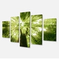 thumbnail image 2 of Design Art - Regardant à Travers un Arbre Vert, 2 of 3