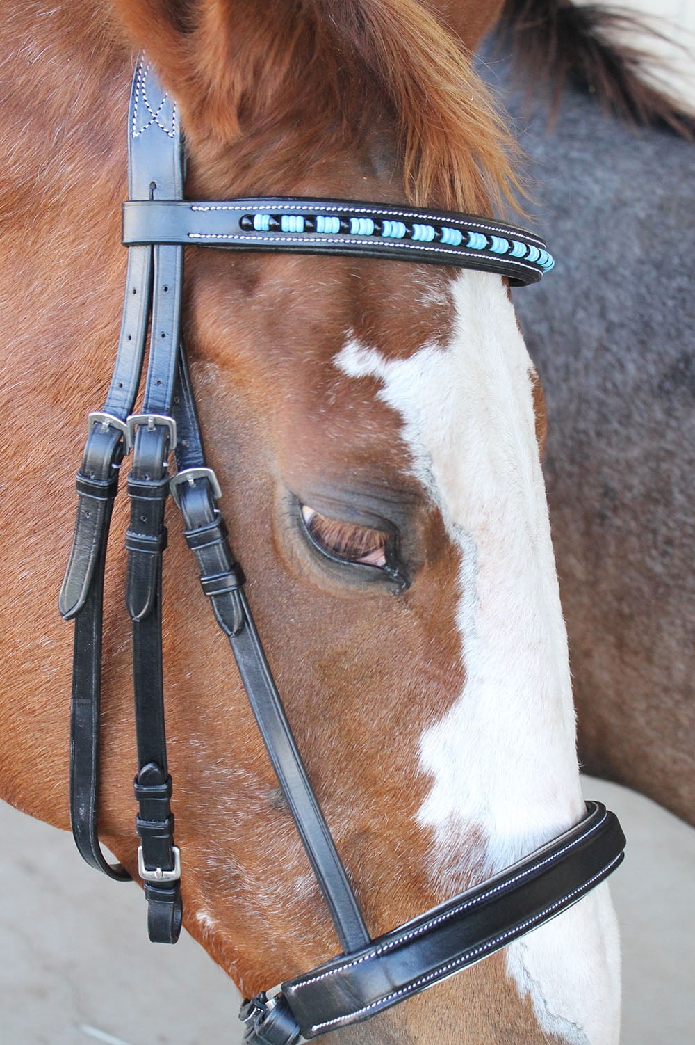 English Polo Bridle Horse Leather Reins Equestrian Bit 1901 Walmart