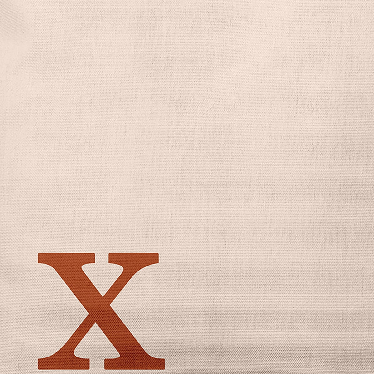 Simply Daisy 20" x 20" Modern Monogram Indoor/Outdoor Polyester Throw Pillow, Sienna
